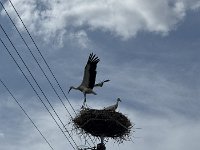Radtour Oder Ostsee-113